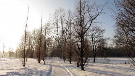 Wandern durch den Schnee wallpaper