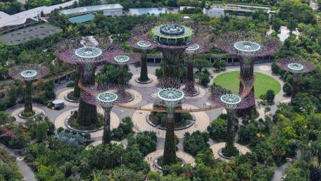Aerial Photograph of Supertree Grove wallpaper