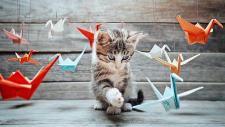 Playful Kitten Among Origami Birds wallpaper