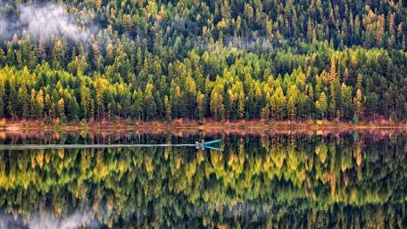 Serenity in Nature's Reflection wallpaper