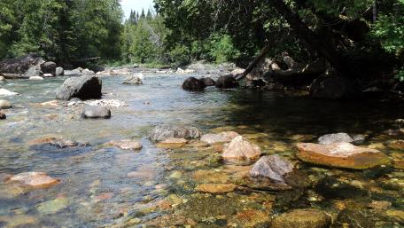 Clear waters and polished pebbles on river bed wallpaper