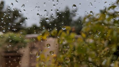 rain wallpaper
