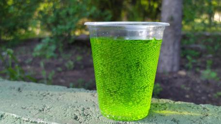 Vibrant Green Beverage Wallpaper wallpaper