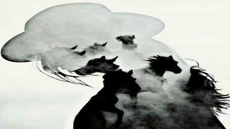 Horses in a Dreamlike Landscape of Shadows and Mist wallpaper