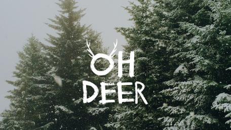 Nature-Themed Car Wallpaper wallpaper