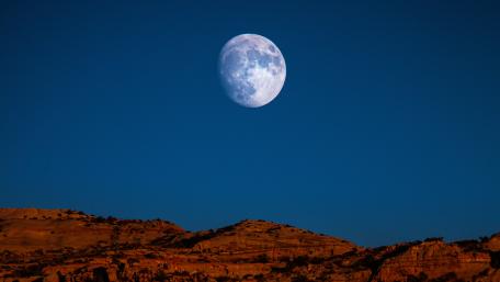 Moonlit Desert Serenity wallpaper