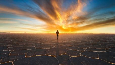 Solitude in the Desert's Embrace wallpaper