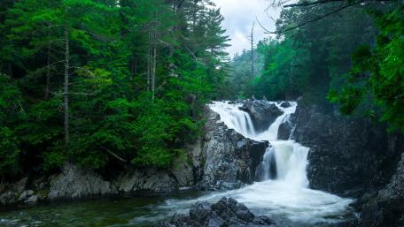 Majestic Forest Waterfall Escape wallpaper