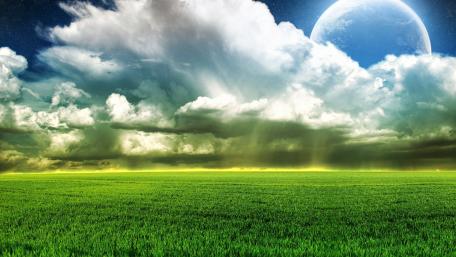 Enchanted Moonlit Field wallpaper