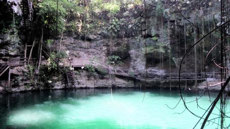 Water hole wallpaper