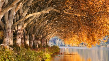 Autumn Harmony by the Lake wallpaper