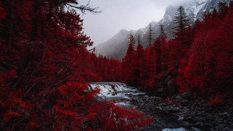 Mystic Red Forest Waterfall wallpaper