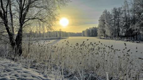 Serene Winter Morning Over a Frozen Lake wallpaper