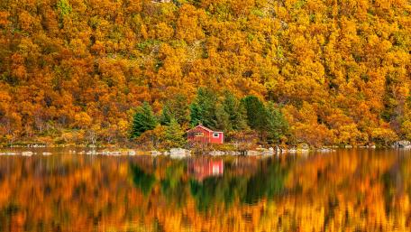 Autumn Serenity by the Lake wallpaper