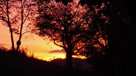 Sunset! wallpaper