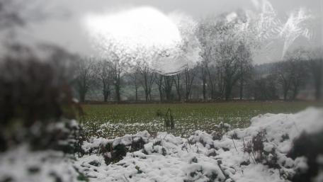Winter wallpaper