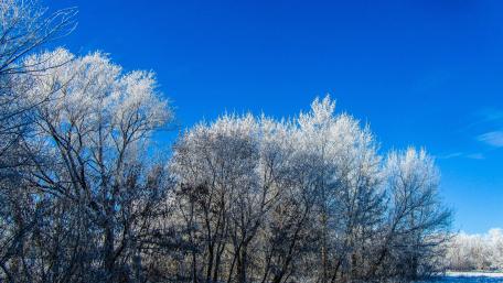 Frozen Landscape Under a Clear Blue Sky wallpaper