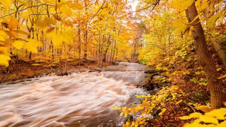 Autumn Serenity in Nature's Embrace wallpaper