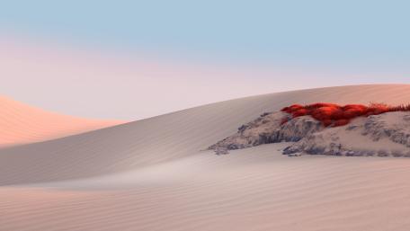 Whispers of the White Sands wallpaper