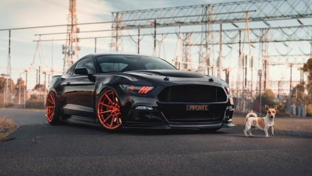 Street Beast in Style with a Friend wallpaper