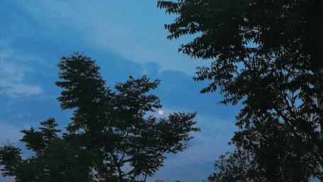 The Moon wallpaper
