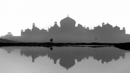 Majestic Silhouette in Reflection wallpaper