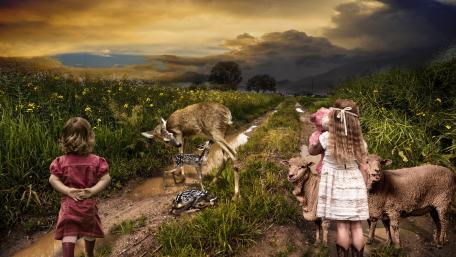 Children with sheeps and deers in a field wallpaper
