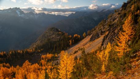 Golden Autumn Bliss in Majestic Mountains wallpaper
