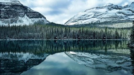 Lake O'Hara, Yoho National Park wallpaper