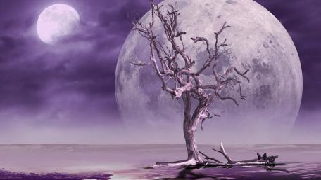 Solitary Tree Under a Purple Moonlit Sky wallpaper