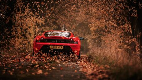 Red Sports Car in Autumn Forest Drive wallpaper