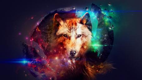 Cosmic Wolf Gaze wallpaper