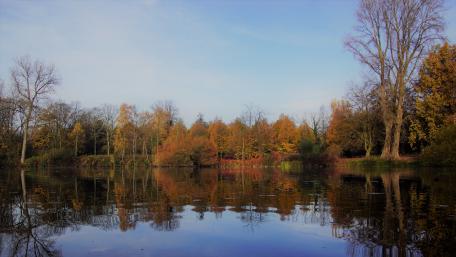 Last beautiful days in the fall wallpaper