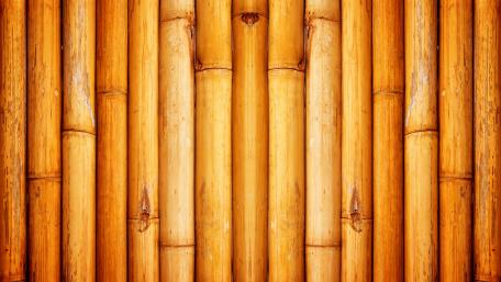 Golden Bamboo Texture for Serenity and Elegance wallpaper