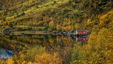 Autumn Serenity by the Lake wallpaper