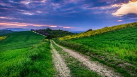 Pathway Through Rolling Hills and Verdant Fields wallpaper