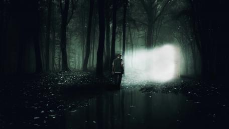 in the shadows wallpaper