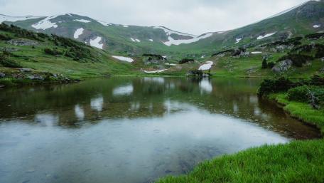 nature wallpaper