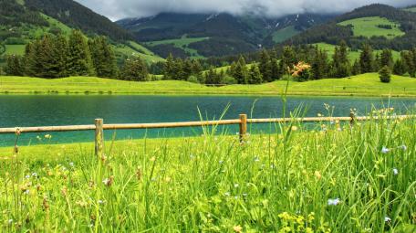 nature wallpaper