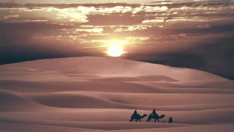 Sunset Romance in the Desert Landscape wallpaper