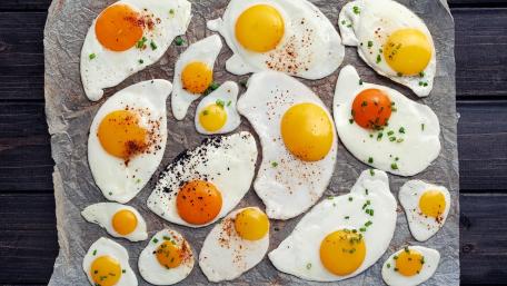 Sunny Side Up Egg Delight wallpaper