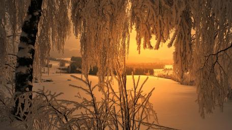 Golden Winter Serenity wallpaper