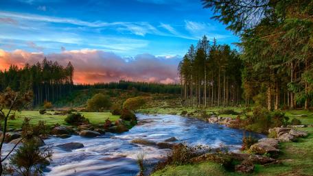 Tranquil River in a Serene Forest Landscape wallpaper