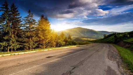 Road to Tranquility amidst Lush Nature wallpaper