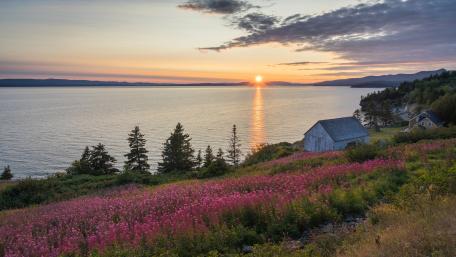 Sunset Over Lakeside Flower Field wallpaper