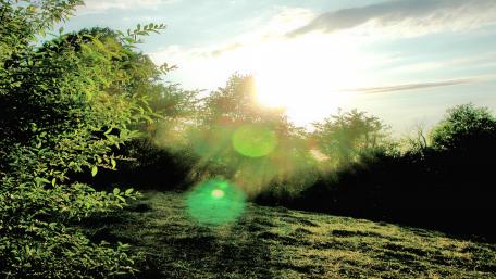 Morning Sun wallpaper