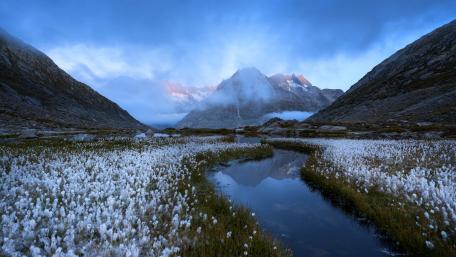 Stream between beauty mountains and flowers. wallpaper