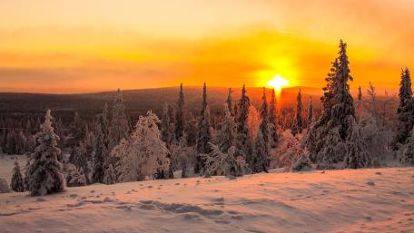 Winter's Warm Glow Over Snowy Silence wallpaper