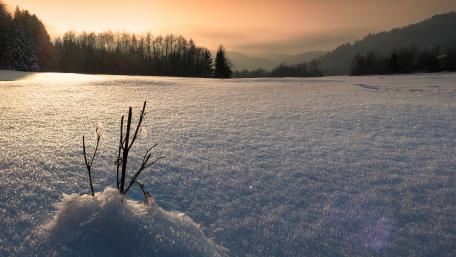 Winter's Tranquil Embrace wallpaper