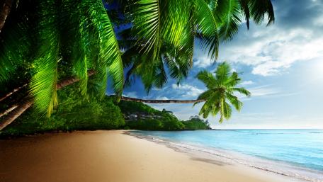 Tropical Paradise Beach Scene wallpaper